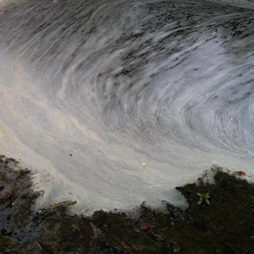 11390038_1586044991449191_3537160358897189941_n