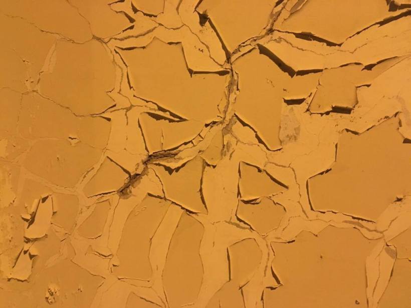 15502815_10158036148635724_638622019_o